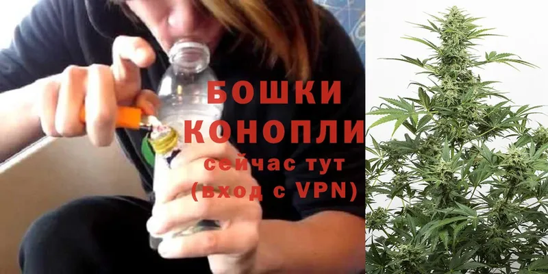 ссылка на мегу вход  Калачинск  Бошки марихуана White Widow 